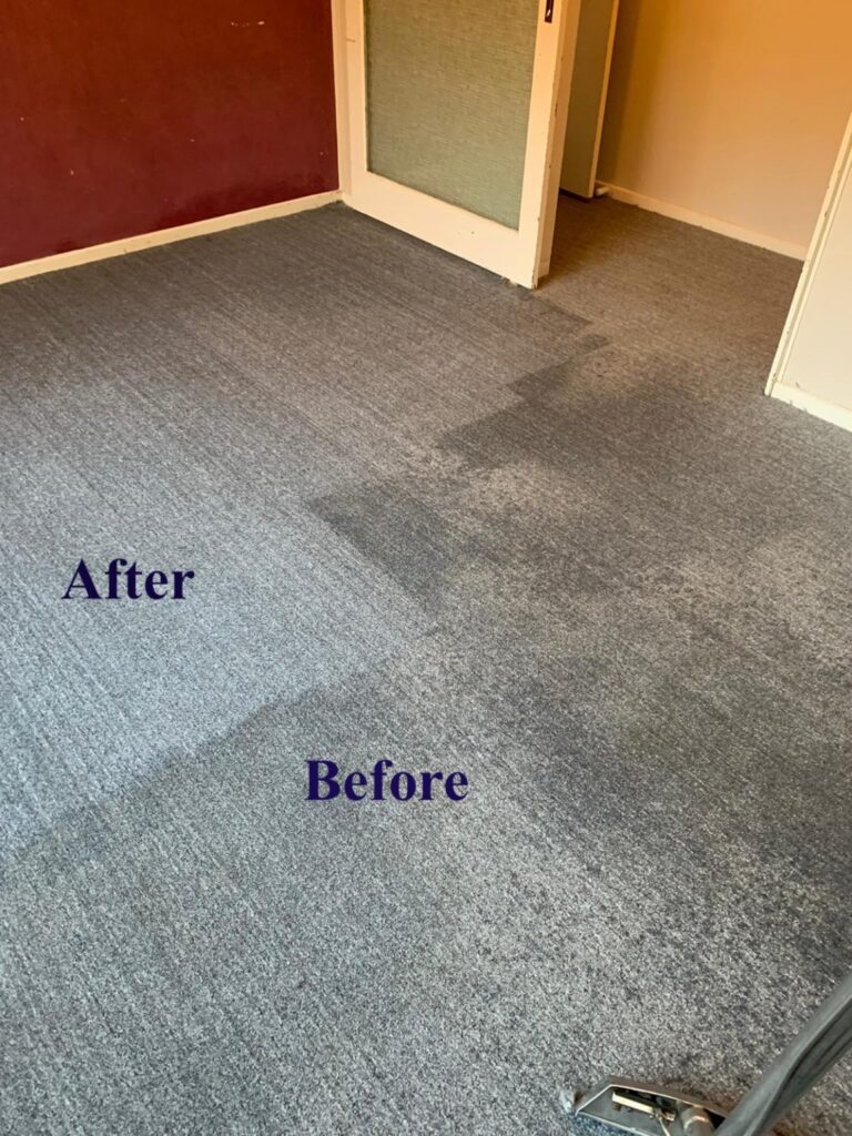 carpet-cleaning-sydney-services-1152×1536
